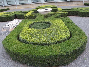 Topiary hedge in the shape of the OU logo